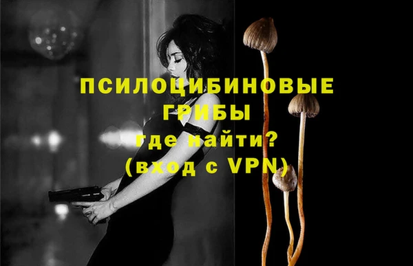 гашик Арсеньев
