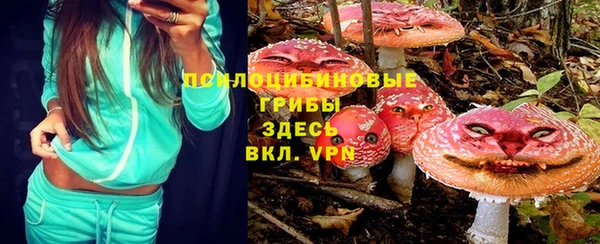 PSILOCYBIN Остров